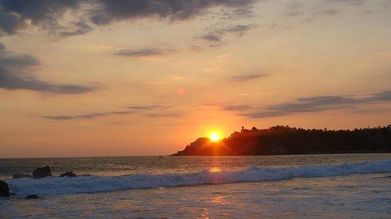 Tropical Surf Restaurant